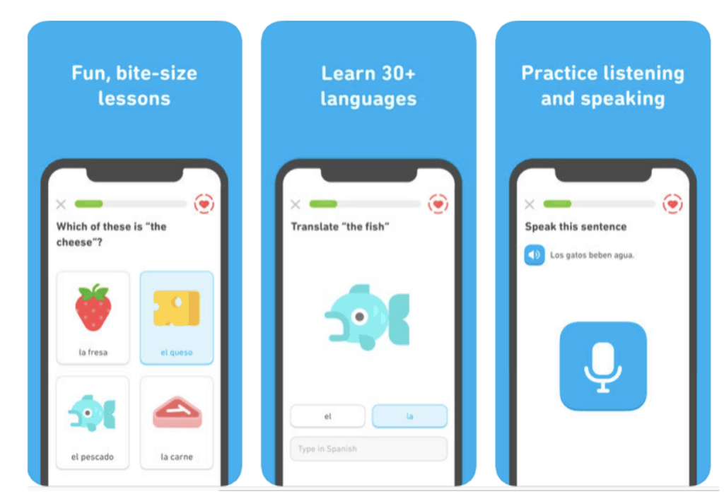 Duolingo Language Learning App