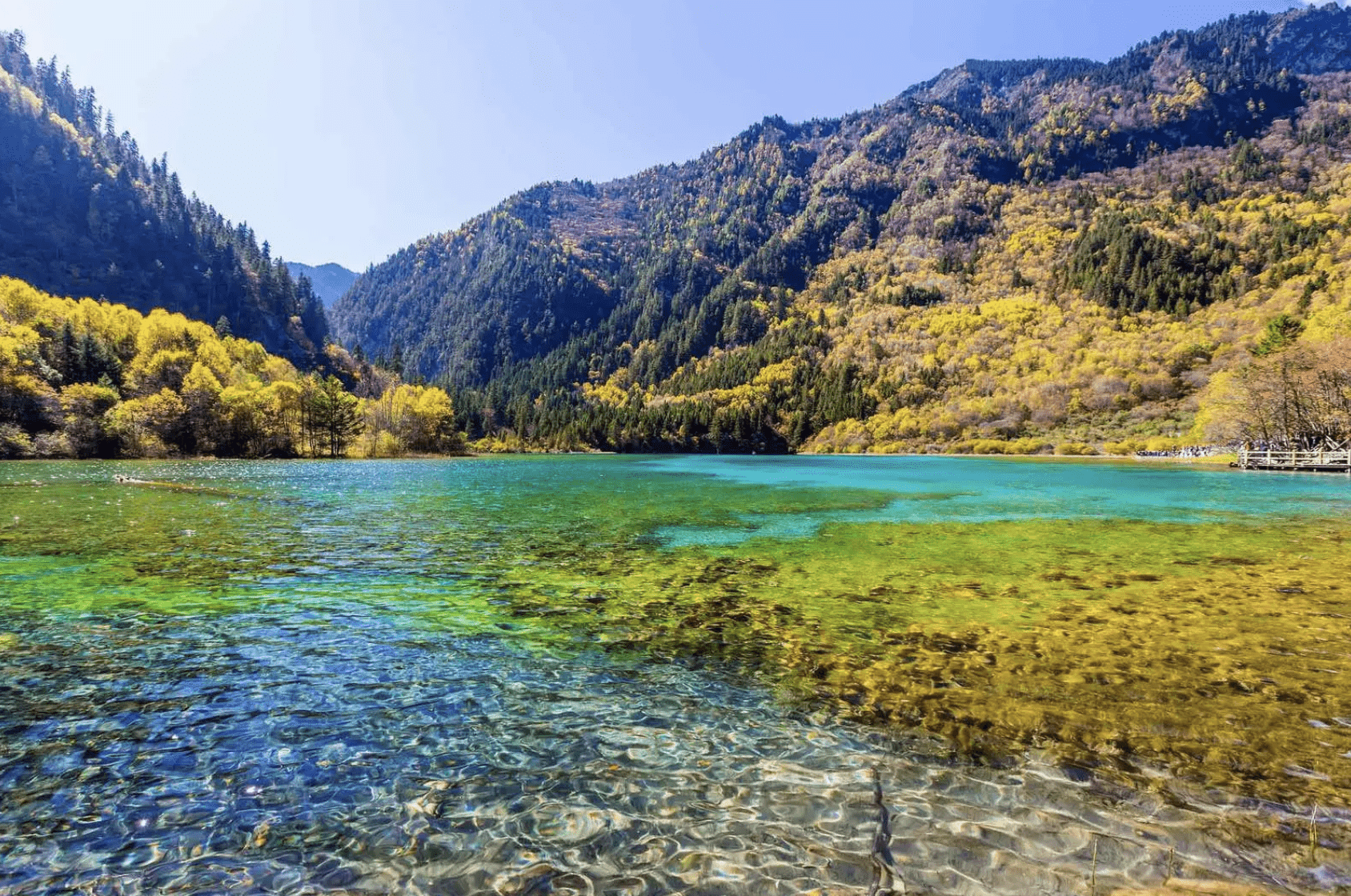 Lake Wuhua Hai, China